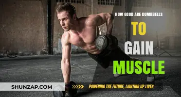 Dumbbells for Muscle Gain: Effective Tools for Strength and Size
