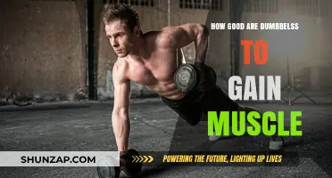 Dumbbells for Muscle Gain: Effective Tools or Overrated Equipment?