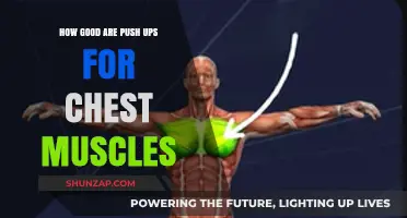 Push-Ups: The Ultimate Chest Builder or Just a Myth?
