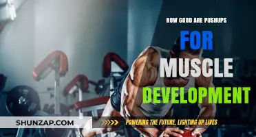 Pushups for Muscle Growth: Effective Bodyweight Exercise Benefits Revealed