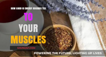 Boost Muscle Recovery: Discover Energy Rooibos Tea's Benefits