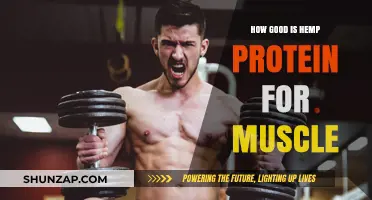 Hemp Protein Benefits: Boosting Muscle Growth and Recovery Naturally