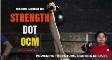 Muscle & Strength.com Review: Is It Worth Your Time?