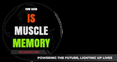 Muscle Memory: Unlocking the Power of Physical Recall and Performance