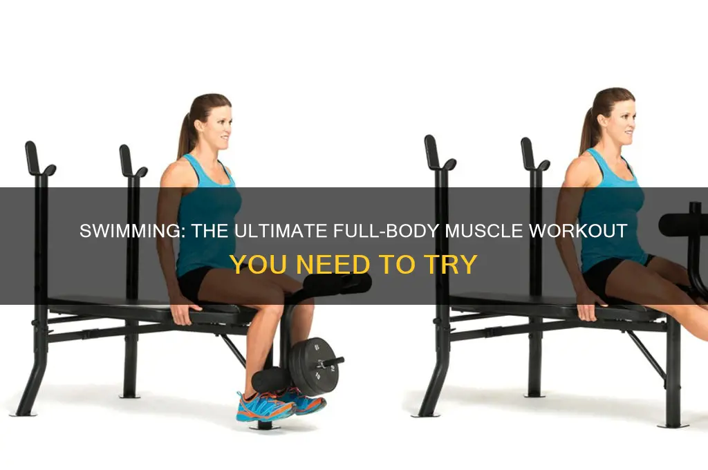 how good is swimming for your muscles