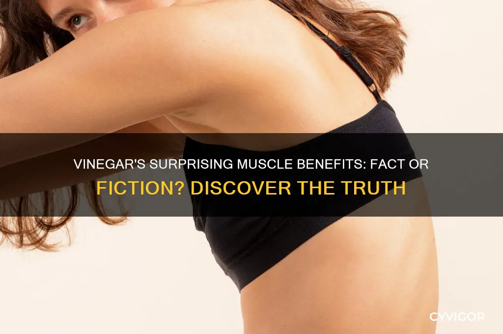 how good is venagar for muscles