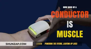 Muscle Conductivity: Unveiling Its Surprising Electrical Properties and Role