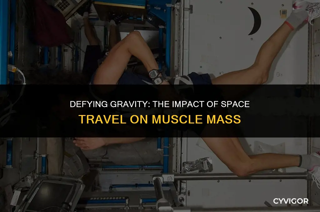 how gravity affects muscle loss in space