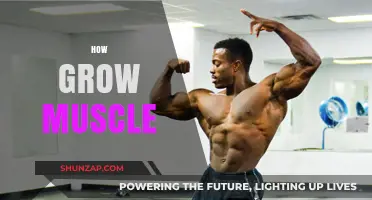 Effective Strategies to Build Muscle Mass and Strength Fast