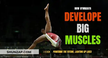 Gymnasts' Muscular Bodies: Secrets Behind Their Strength