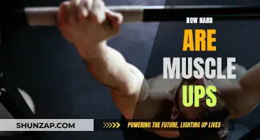 Mastering the Muscle Up: An Intense Upper-Body Challenge