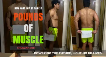 Gaining 20 Pounds of Muscle: Challenges and Realistic Strategies