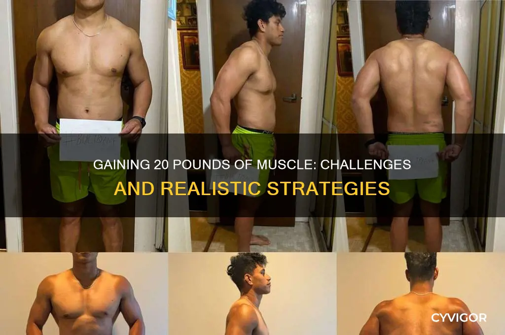 how hard is it to gain 20 pounds of muscle