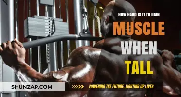 Tall and Toned: Muscle-Building Challenges for Taller Individuals Explained