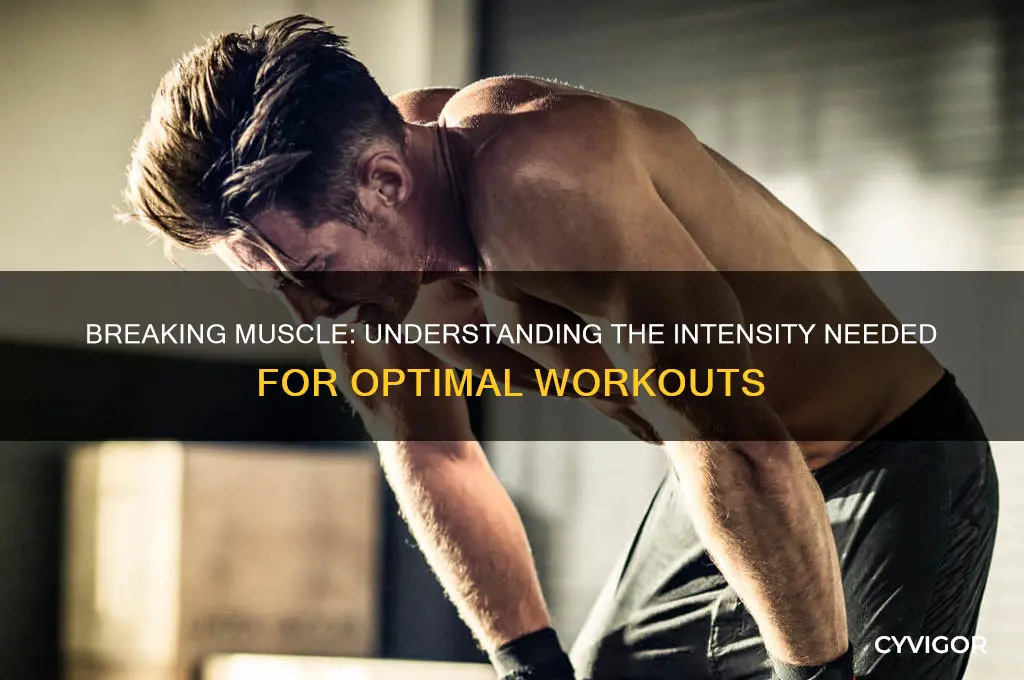 how hard must you work out to break muscle