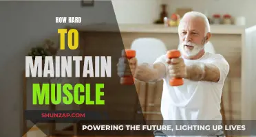 Building Muscle is Easy, Maintaining it is Hard