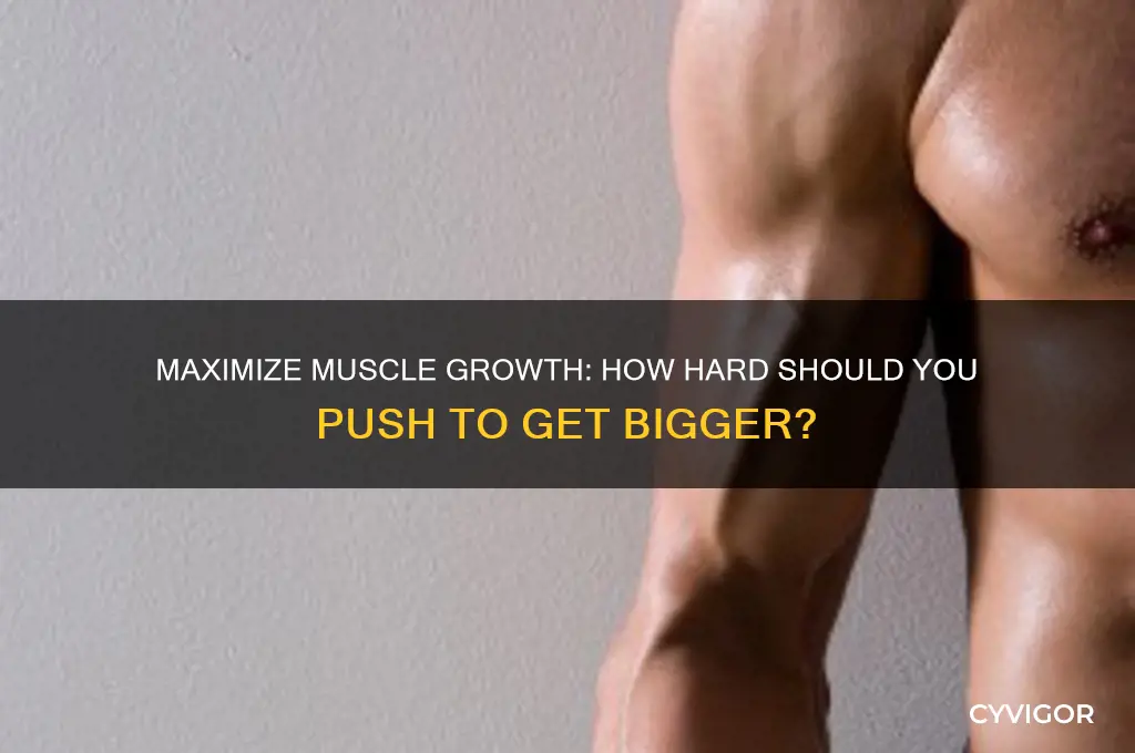 how hard to work muscles to make them bugger
