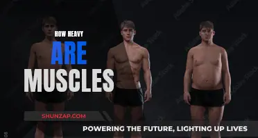 The Weight of Muscles: What You Need to Know
