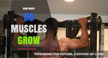 Muscle Growth Explained: How Heavy Can Your Muscles Really Get?