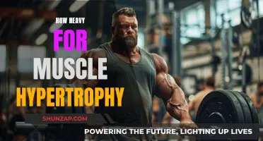 The Optimal Load for Muscle Growth