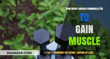 Choosing Dumbbell Weight for Effective Muscle Growth: A Comprehensive Guide