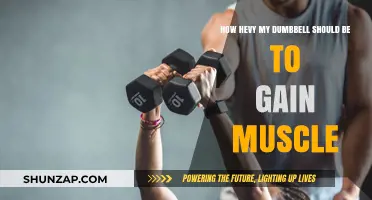 Choosing the Right Dumbbell Weight for Effective Muscle Gain