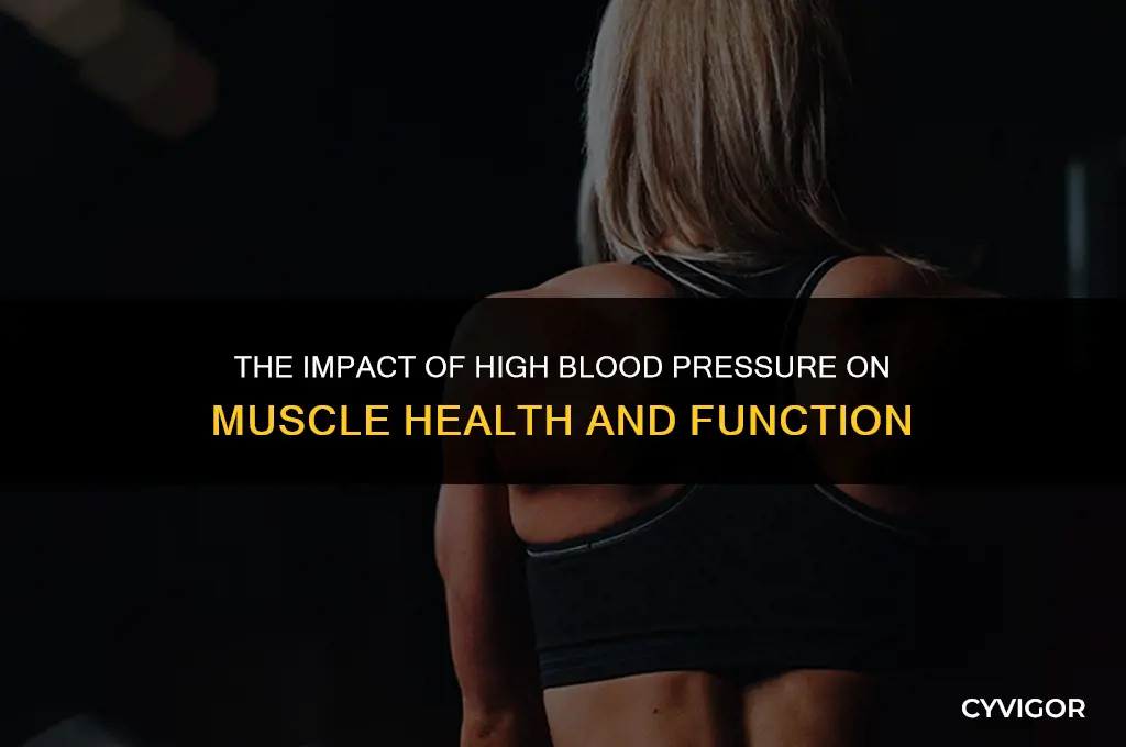 how high bp affects muscles
