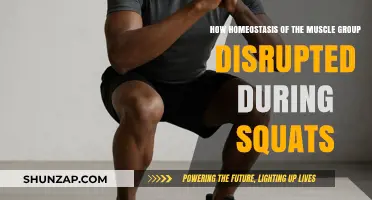 Disrupted Muscle Homeostasis: Understanding Squat-Induced Imbalances and Recovery