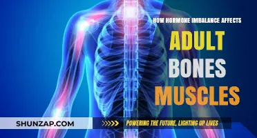 Hormonal Harmony: The Impact on Adult Bones and Muscles