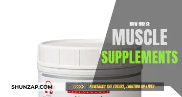 Horse Muscle Supplements: What, Why, and How?