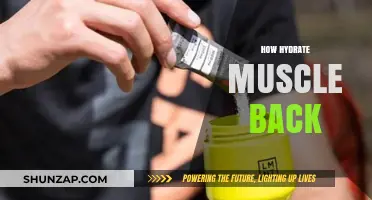 Revitalize Your Muscles: The Ultimate Guide to Hydration and Recovery