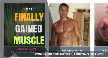 My Proven Muscle-Building Journey: Strategies That Delivered Real Results
