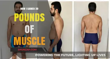 My Muscle-Building Journey: Gaining 30 Pounds of Strength and Mass