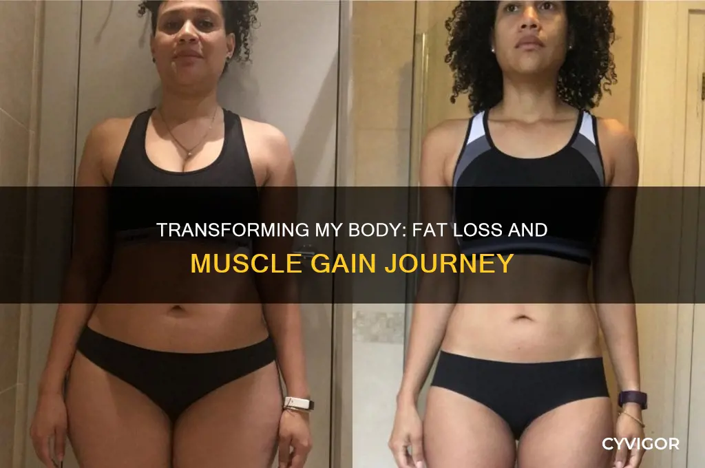 how i lost fat and gained muscle