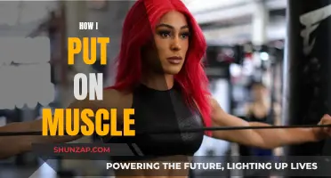 Gaining Muscle: My Personal Journey and Transformation