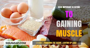 Fuel Your Gains: The Crucial Role of Eating in Muscle Building