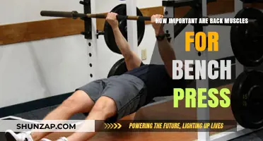 Unlocking Bench Press Potential: The Crucial Role of Back Muscles