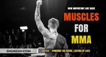 Unleashing Power: The Crucial Role of Back Muscles in MMA Dominance