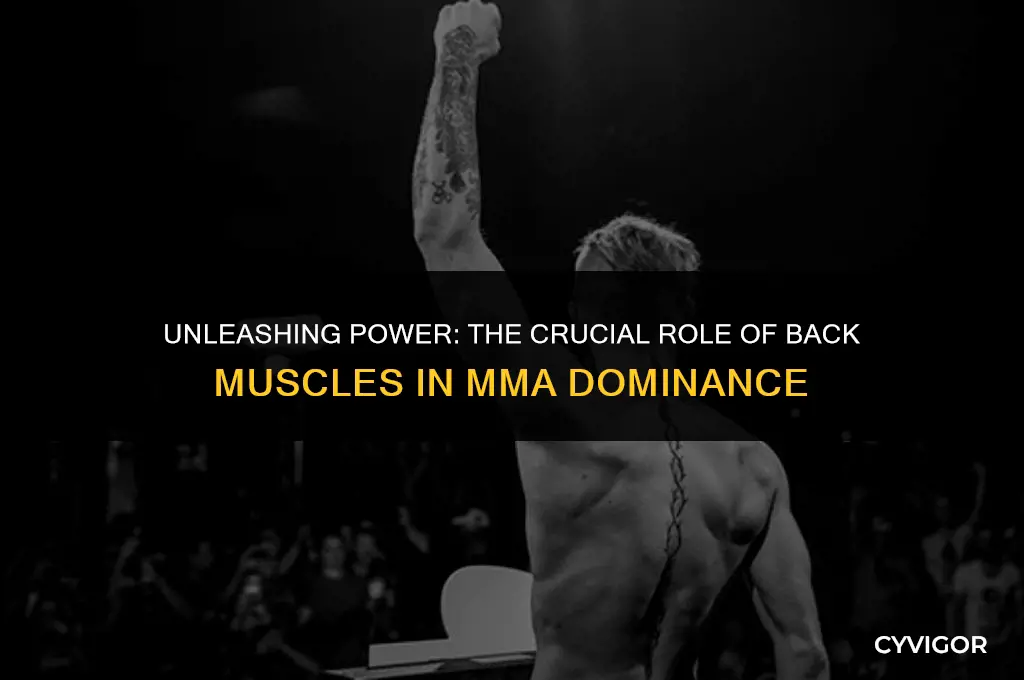 how important are back muscles for mma