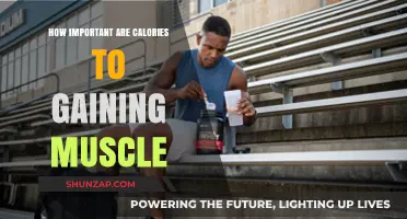 Calories and Muscle Gain: Unlocking the Essential Role in Growth