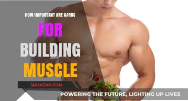 Fueling Your Gains: The Crucial Role of Carbs in Muscle Building