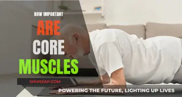 Core Muscles: The Foundation of Fitness and Health