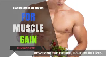 Macros and Muscle Gain: Unlocking Optimal Nutrition for Growth