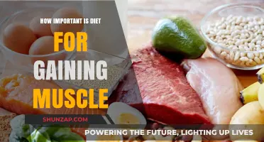 Fuel Your Gains: The Crucial Role of Diet in Muscle Building