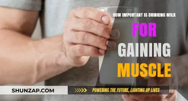 Milk's Muscle-Building Power: Essential or Overrated for Gains?