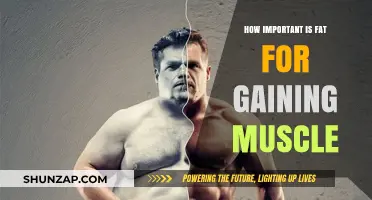 Fat's Role in Muscle Growth: Essential Nutrient for Strength Gains