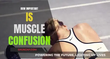 Muscle Confusion: The Secret to Unlocking Fitness Gains?