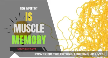 Mastering Muscle Memory: Unlocking the Secret to Consistency