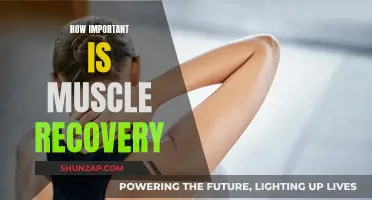 Muscle Recovery: Essential for Fitness and Overall Health