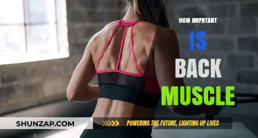 Strengthening Your Back: The Unsung Hero of Your Body